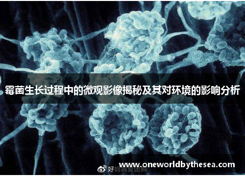 霉菌生长过程中的微观影像揭秘及其对环境的影响分析